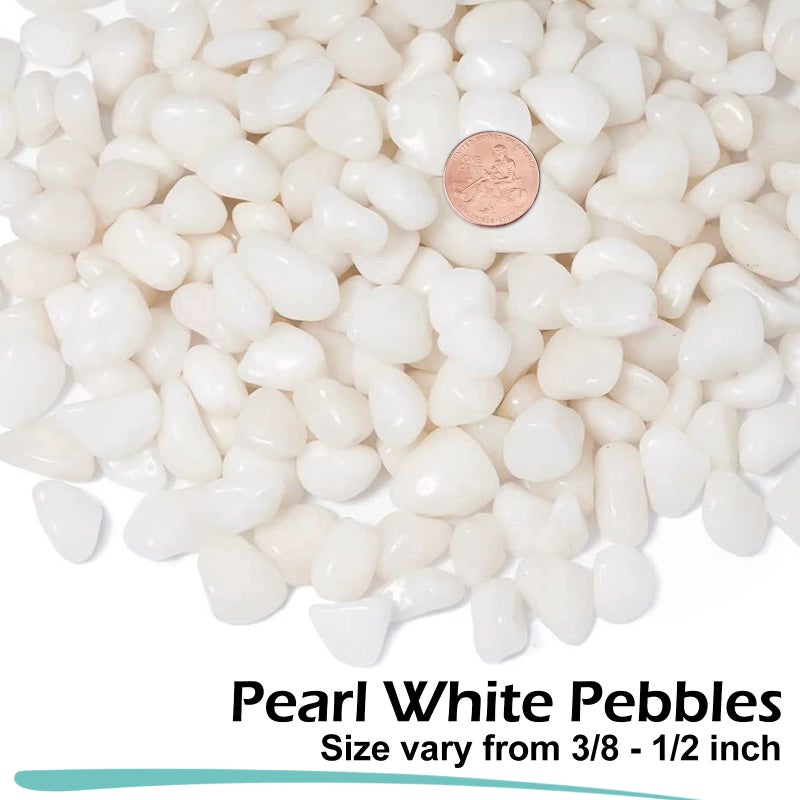 GASPRO 5lb Pebbles for Indoor Plants, Vases, Succulent, 3/8" Small Decorative White Rocks, High Polished - Image 2